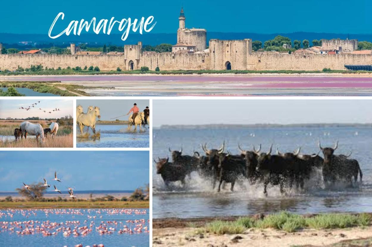 Le Victor Hugo - Intra Muros - Calme - Clim - Lumineux Appartement Avignon