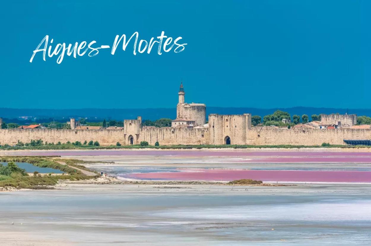 Appartement Le Victor Hugo - Intra Muros - Calme - Clim - Lumineux Avignon